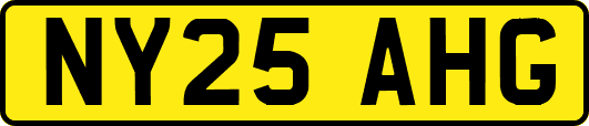 NY25AHG