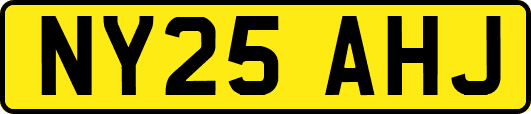 NY25AHJ