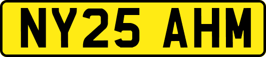 NY25AHM