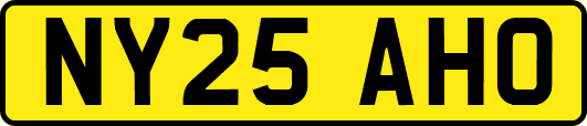NY25AHO