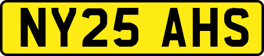 NY25AHS
