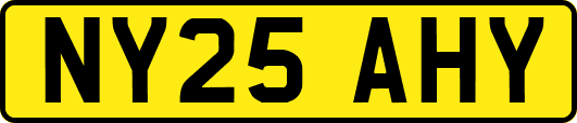 NY25AHY