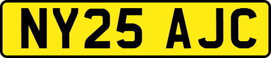 NY25AJC