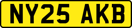 NY25AKB