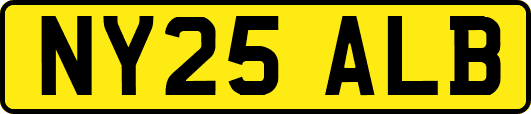 NY25ALB