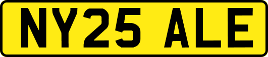 NY25ALE