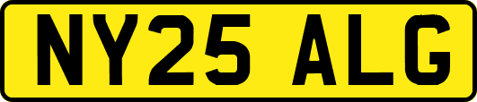 NY25ALG