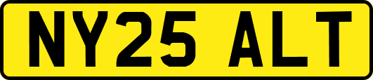 NY25ALT