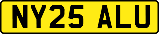 NY25ALU