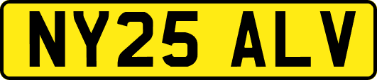 NY25ALV