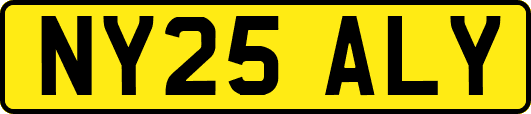 NY25ALY