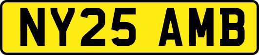 NY25AMB