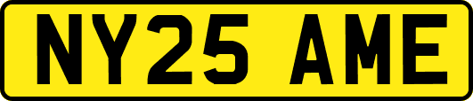 NY25AME