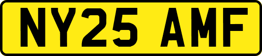 NY25AMF