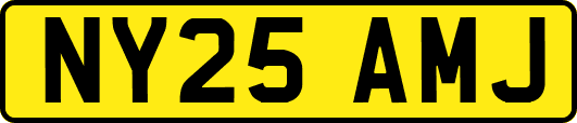 NY25AMJ