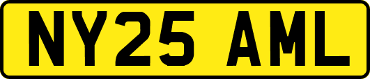 NY25AML