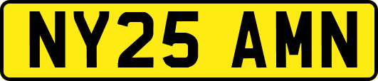 NY25AMN