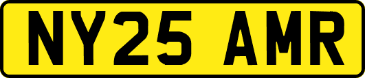 NY25AMR