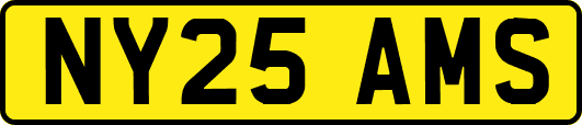 NY25AMS