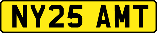 NY25AMT