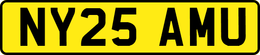 NY25AMU