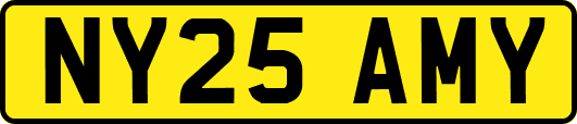 NY25AMY