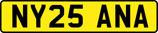 NY25ANA