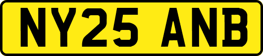 NY25ANB