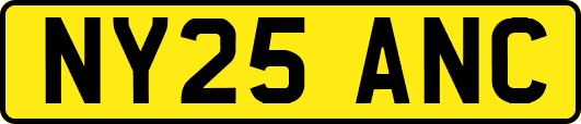 NY25ANC