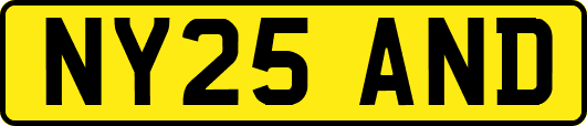 NY25AND