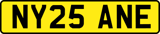NY25ANE