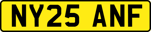 NY25ANF