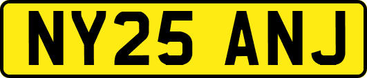 NY25ANJ