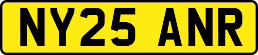 NY25ANR