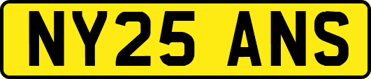 NY25ANS