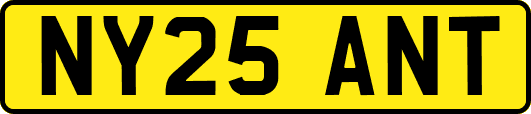 NY25ANT