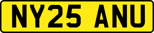 NY25ANU