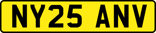 NY25ANV