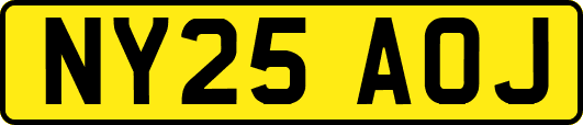 NY25AOJ