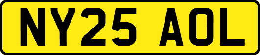 NY25AOL