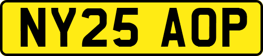 NY25AOP