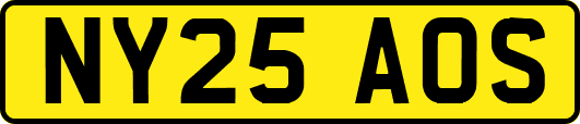 NY25AOS