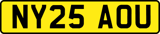 NY25AOU