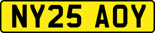 NY25AOY