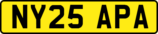 NY25APA