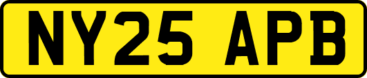 NY25APB