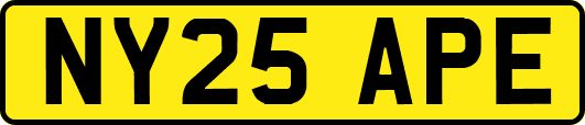 NY25APE