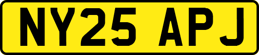 NY25APJ