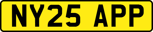 NY25APP