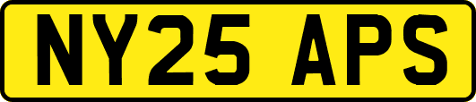 NY25APS